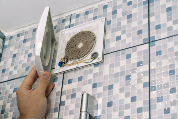 Best Home Air Vent Cleaning  in Reed City, MI