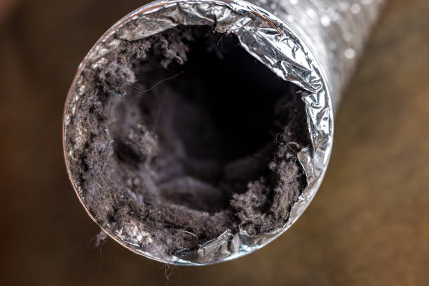 Best HVAC Duct Inspection Services  in Reed City, MI