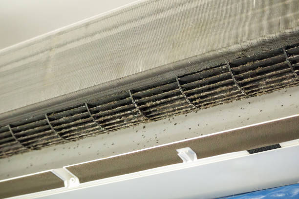 Best Local Air Duct Cleaning Services  in Reed City, MI